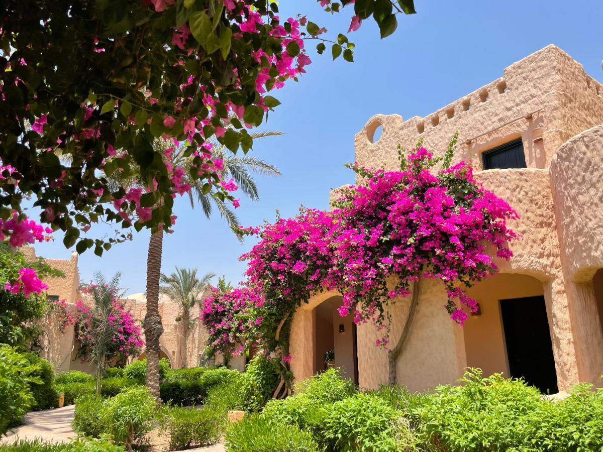 Blue Lagoon View Resort & Spa Marsa Alam Eksteriør billede
