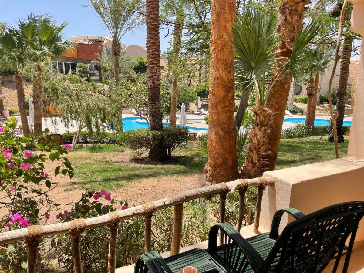 Blue Lagoon View Resort & Spa Marsa Alam Eksteriør billede