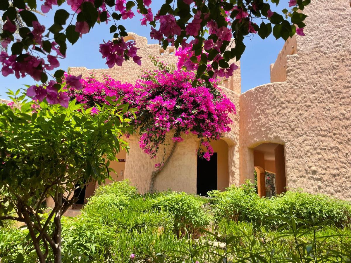 Blue Lagoon View Resort & Spa Marsa Alam Eksteriør billede