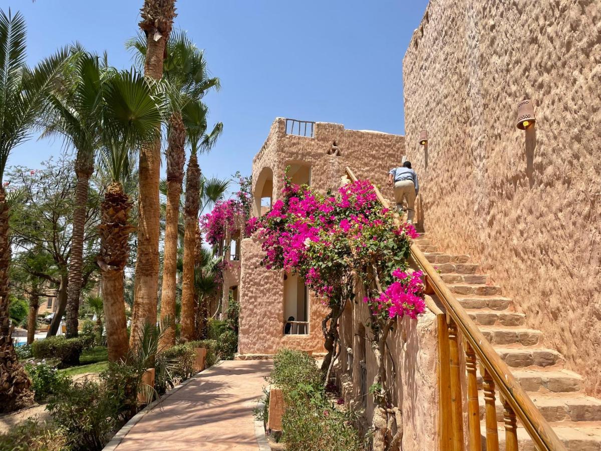 Blue Lagoon View Resort & Spa Marsa Alam Eksteriør billede