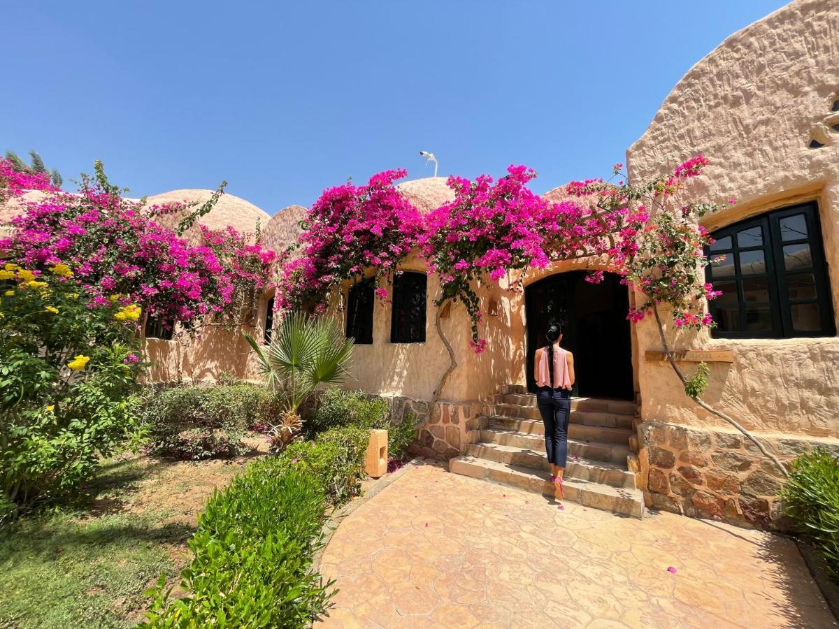 Blue Lagoon View Resort & Spa Marsa Alam Eksteriør billede